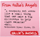 From Hallie's Angels - 'A mosquito net seems like a small thing that can make a big difference to help fight malaria!' - Kari, Bethlehem River Glove, IL